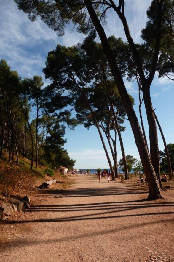 Daniel Lägenhet Saint-Cyr-sur-Mer Exteriör bild