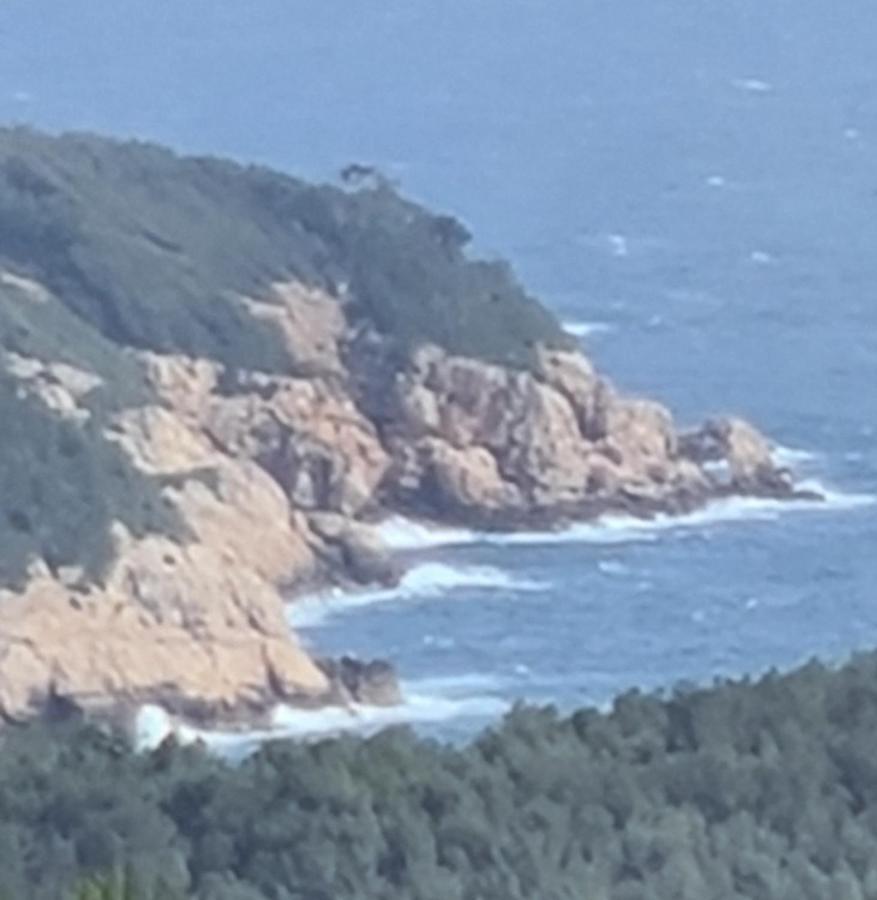 Daniel Lägenhet Saint-Cyr-sur-Mer Exteriör bild